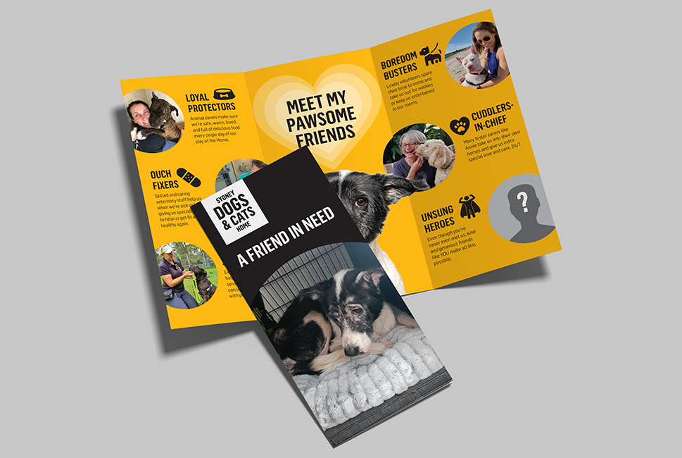 Sydney Dogs and Cats Home - Tax Appeal direct mail campaign