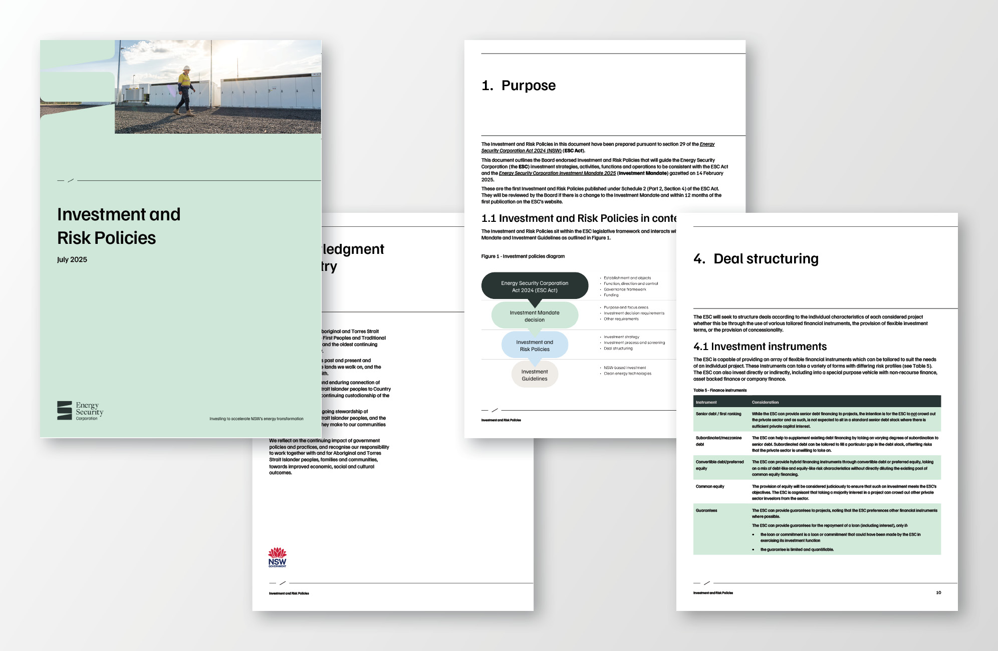 Energy Security Corporation Investment Risk Policy (Word)